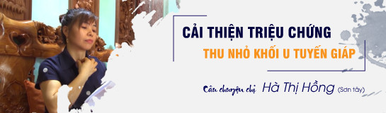 Cây chuyện của chị Hồng